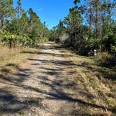 Review photo of Wildcow Campground by Roger W., January 30, 2024