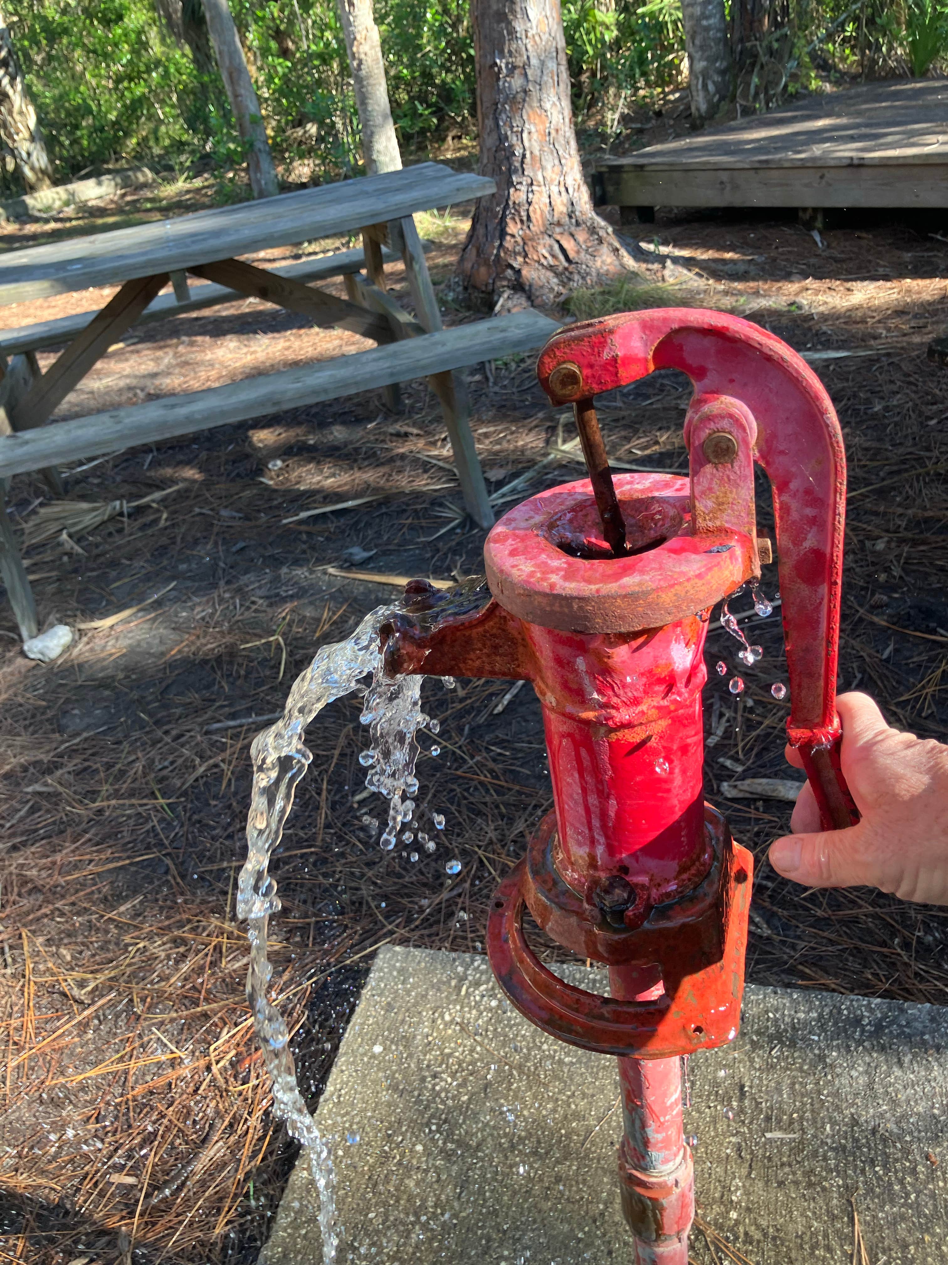 Camper-submitted photo at Wildcow Campground near LaBelle, FL