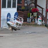 Review photo of Wilderness Oaks RV Resort by Colleen P., December 15, 2025