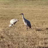 Review photo of Wilderness Oaks RV Resort by Colleen P., December 15, 2025