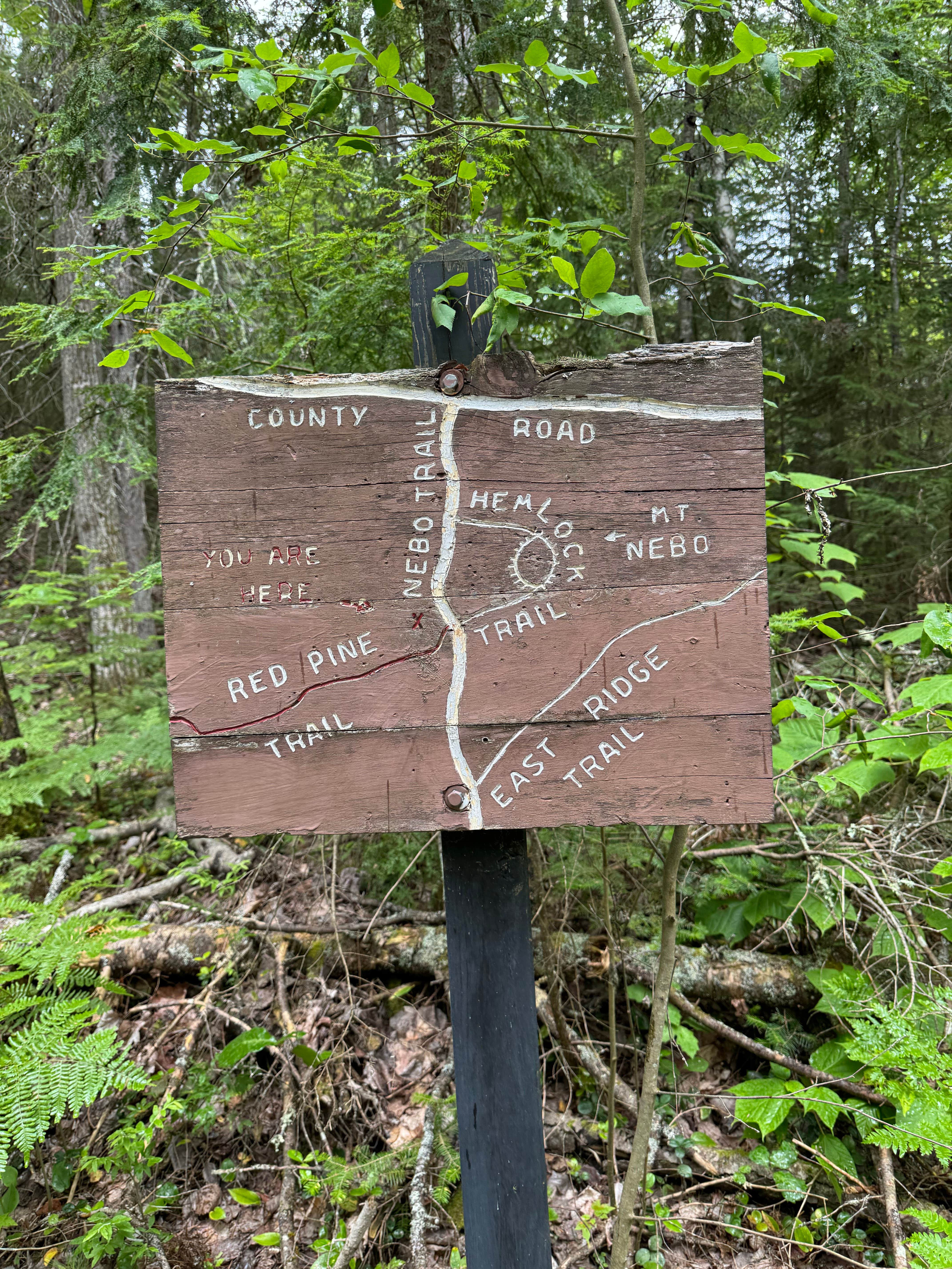 Camper-submitted photo at Wilderness Campground near Deerfield, MI