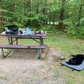 Review photo of Wilderness Road Campground by elizabeth L., September 6, 2025