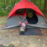 Review photo of Wilderness Road Campground by elizabeth L., September 6, 2025