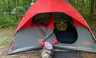 elizabeth L.'s photo at Wilderness Road Campground near Middlesboro, KY