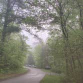 Review photo of Wilderness Road Campground by Lucy P., May 1, 2024