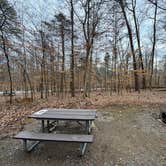 Review photo of Wilderness Road Campground by Shawn L., February 22, 2025