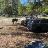 Review photo of Wilderness Shores Ranch & RV/Tent Campground by Rhonda B., May 29, 2026