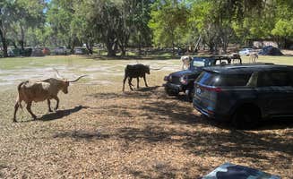 Rhonda B.'s photo of camping with pets at Wilderness Shores Ranch & RV/Tent Campground near Winter Haven, FL