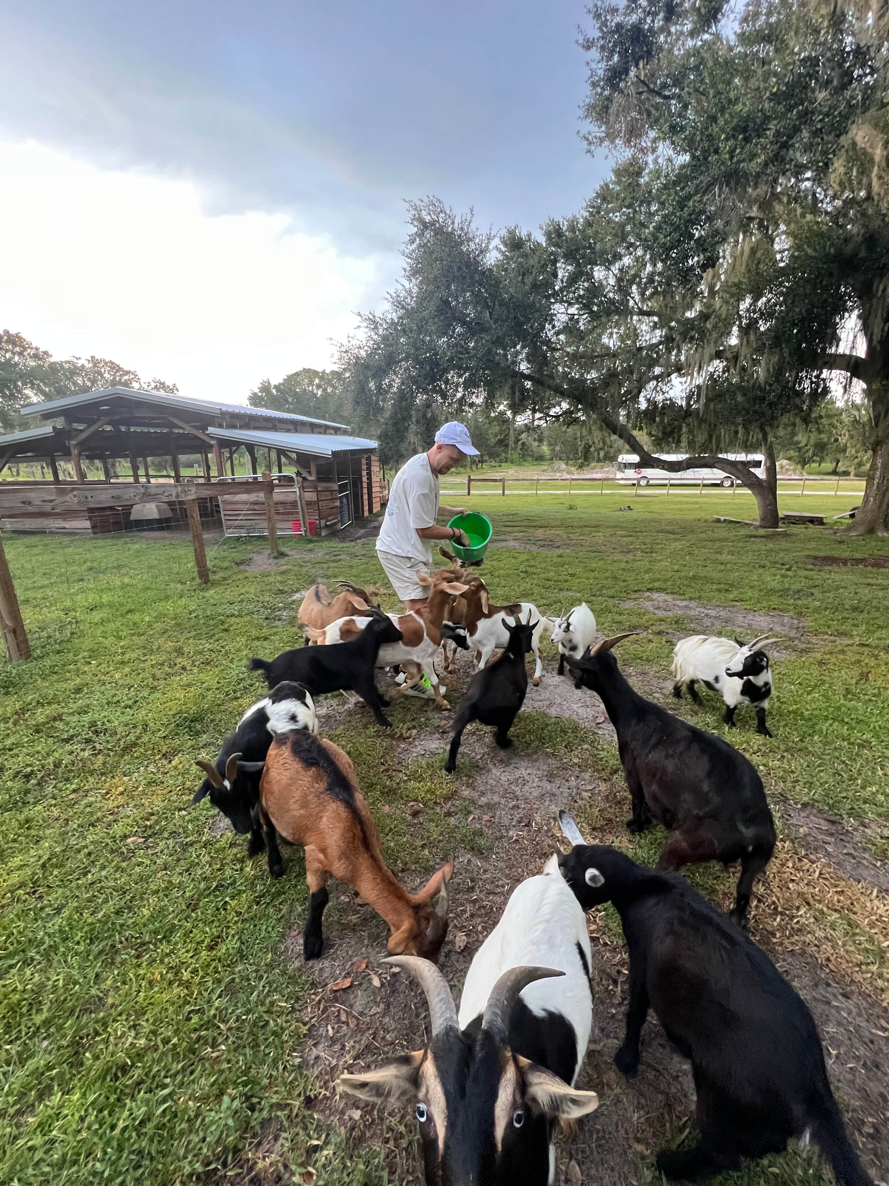 Michael O.'s photo of camping with pets at Wilderness Shores Ranch & RV/Tent Campground near Dover, FL