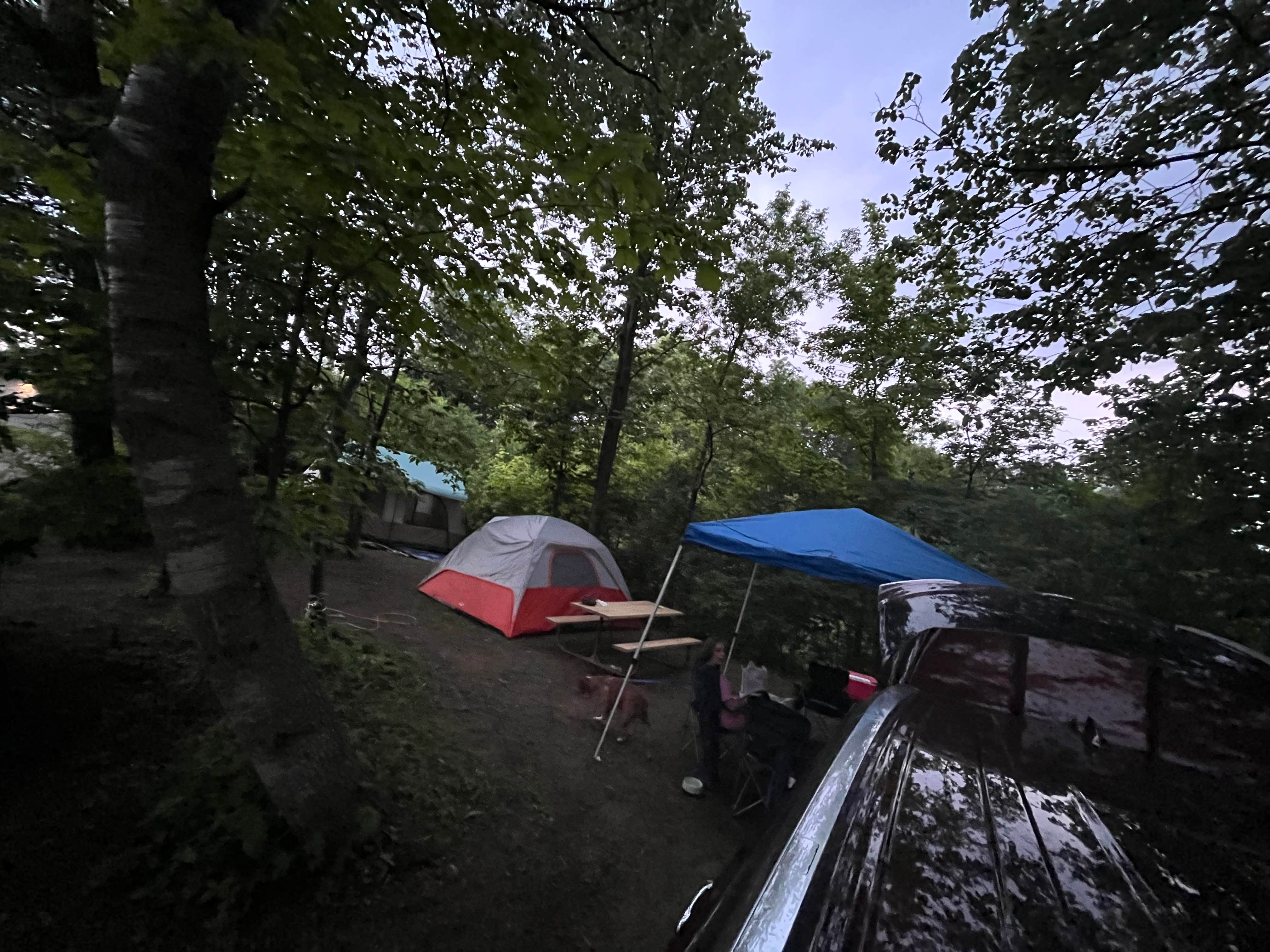 dominick C.'s photo of camping with pets at Wildwood RV Park & Campground near Marine on St. Croix, MN