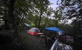 dominick C.'s photo at Wildwood RV Park & Campground near Amery, WI