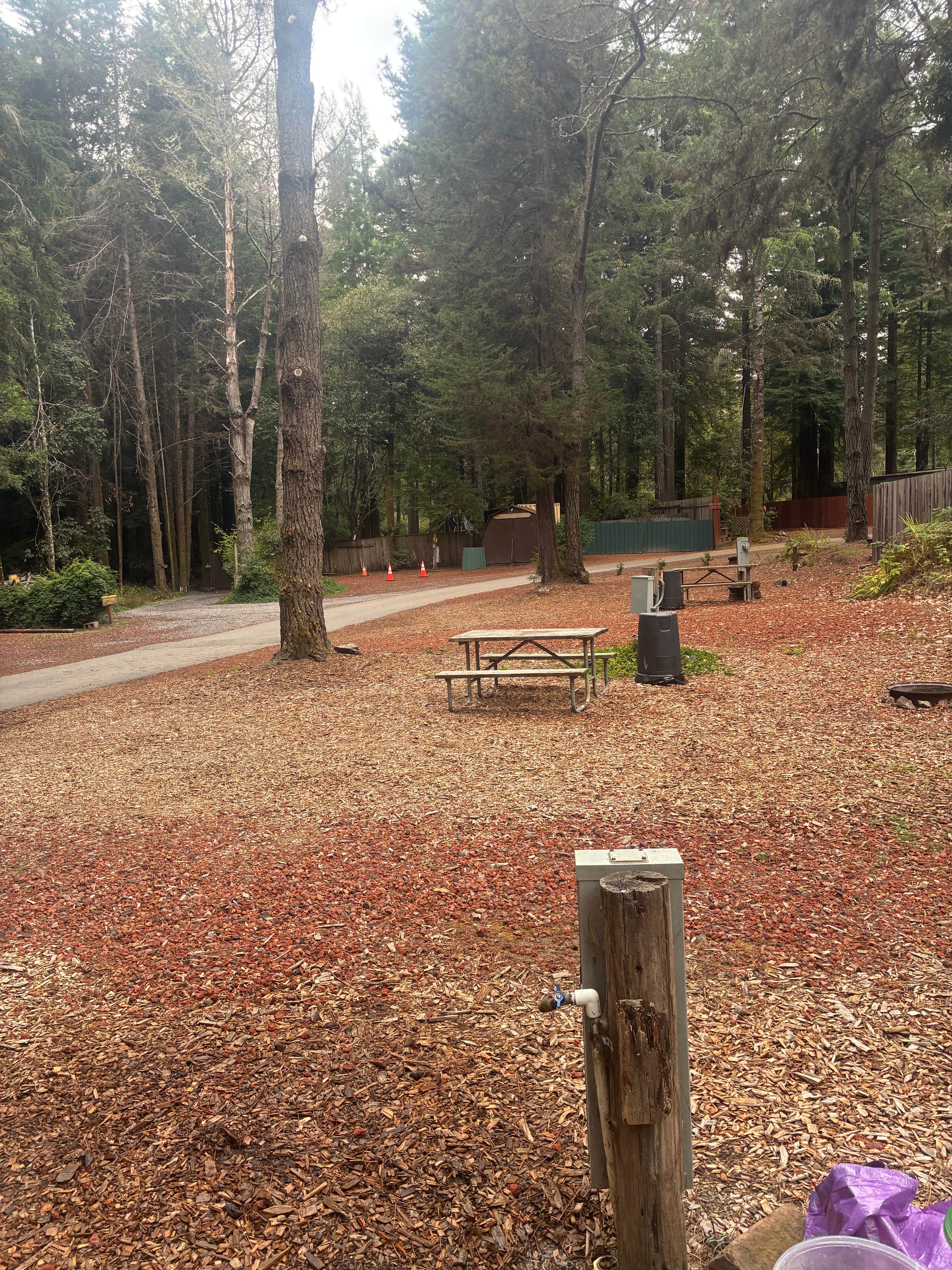 Camper-submitted photo at Wildwood RV Park & Campground near Navarro, CA