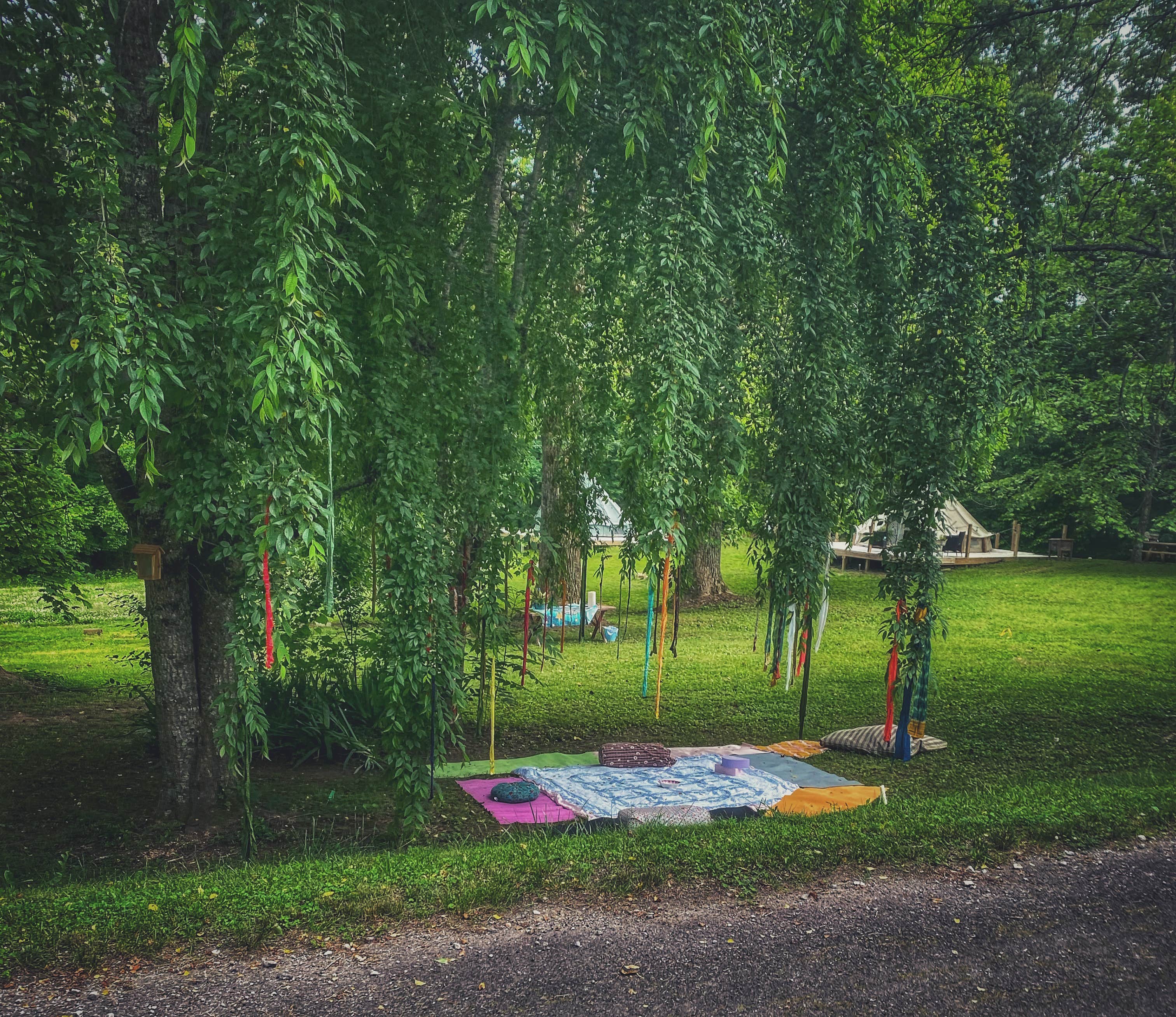 Camper submitted image from Wildwood Heart Farm - 3