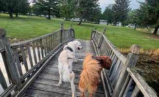 Kelsey S.'s photo of camping with pets at Wildwood Outdoor Escape near Peru, IN