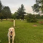 Review photo of Wildwood Outdoor Escape by Kelsey S., June 6, 2026