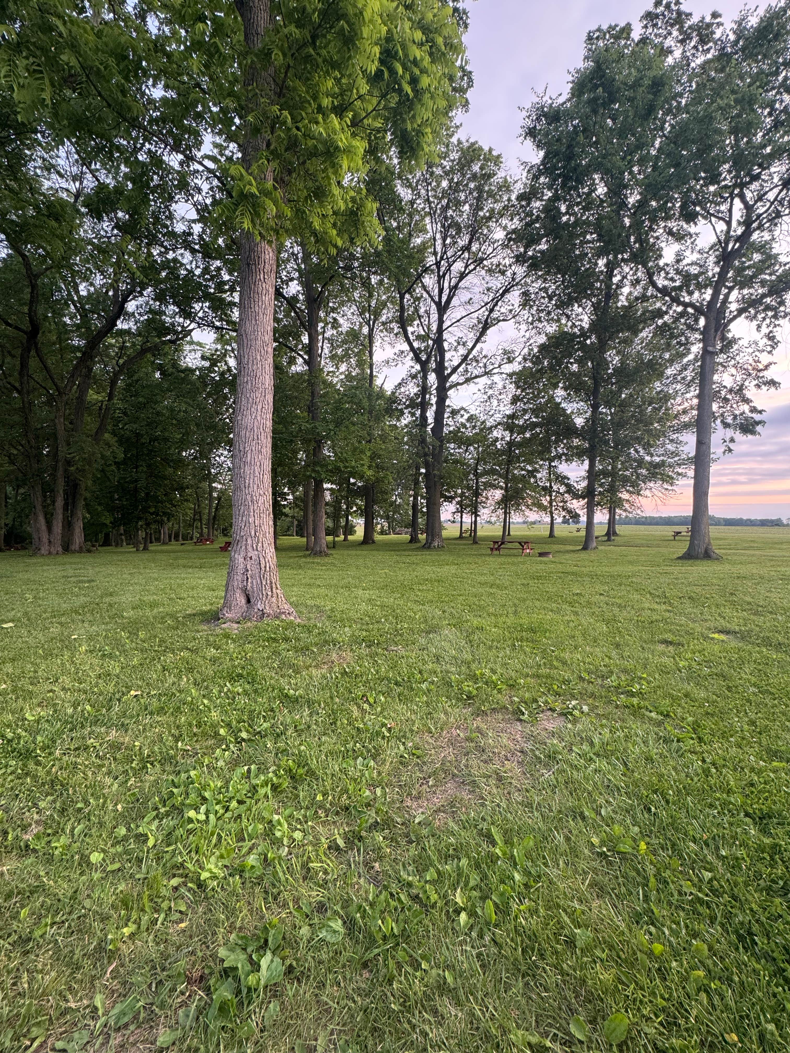 Camper-submitted photo at Wildwood Outdoor Escape near Gaston, IN
