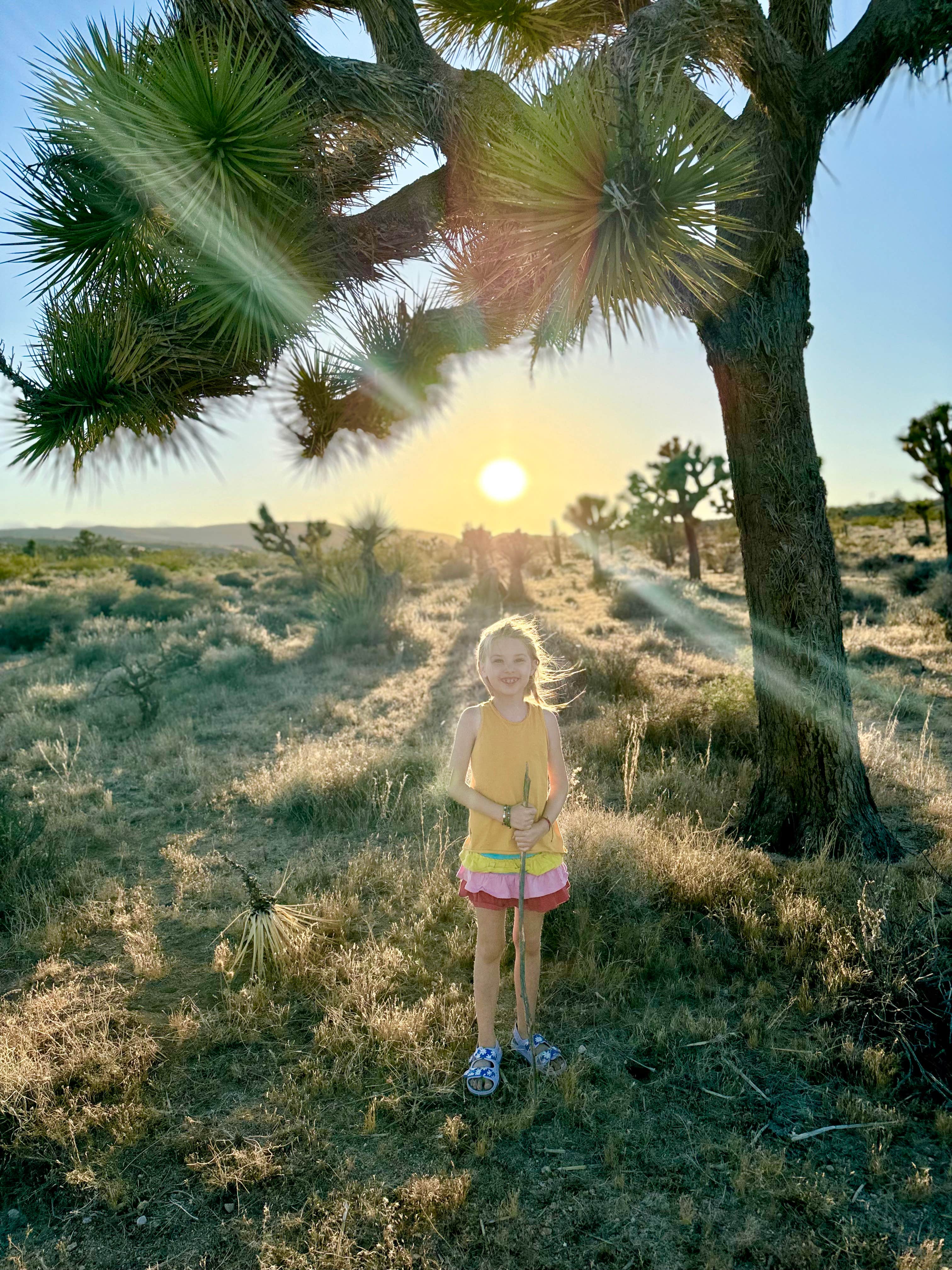 Camper submitted image from 15 min to Joshua Tree National Park! - 4