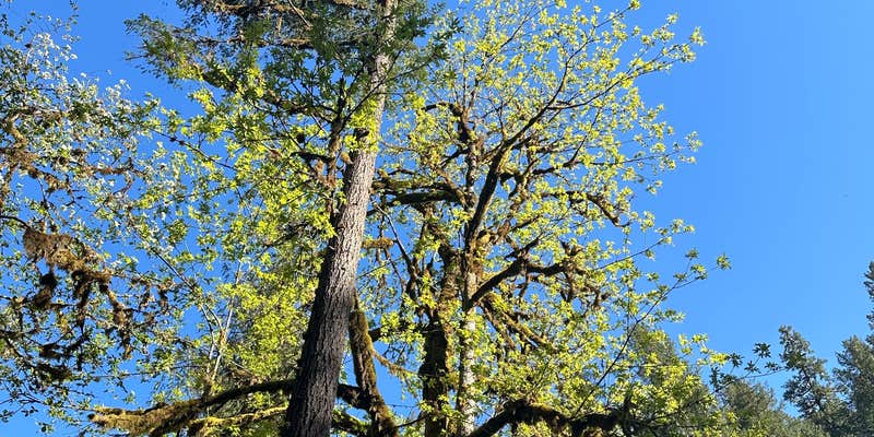 Camper submitted image from Trout Creek Campground