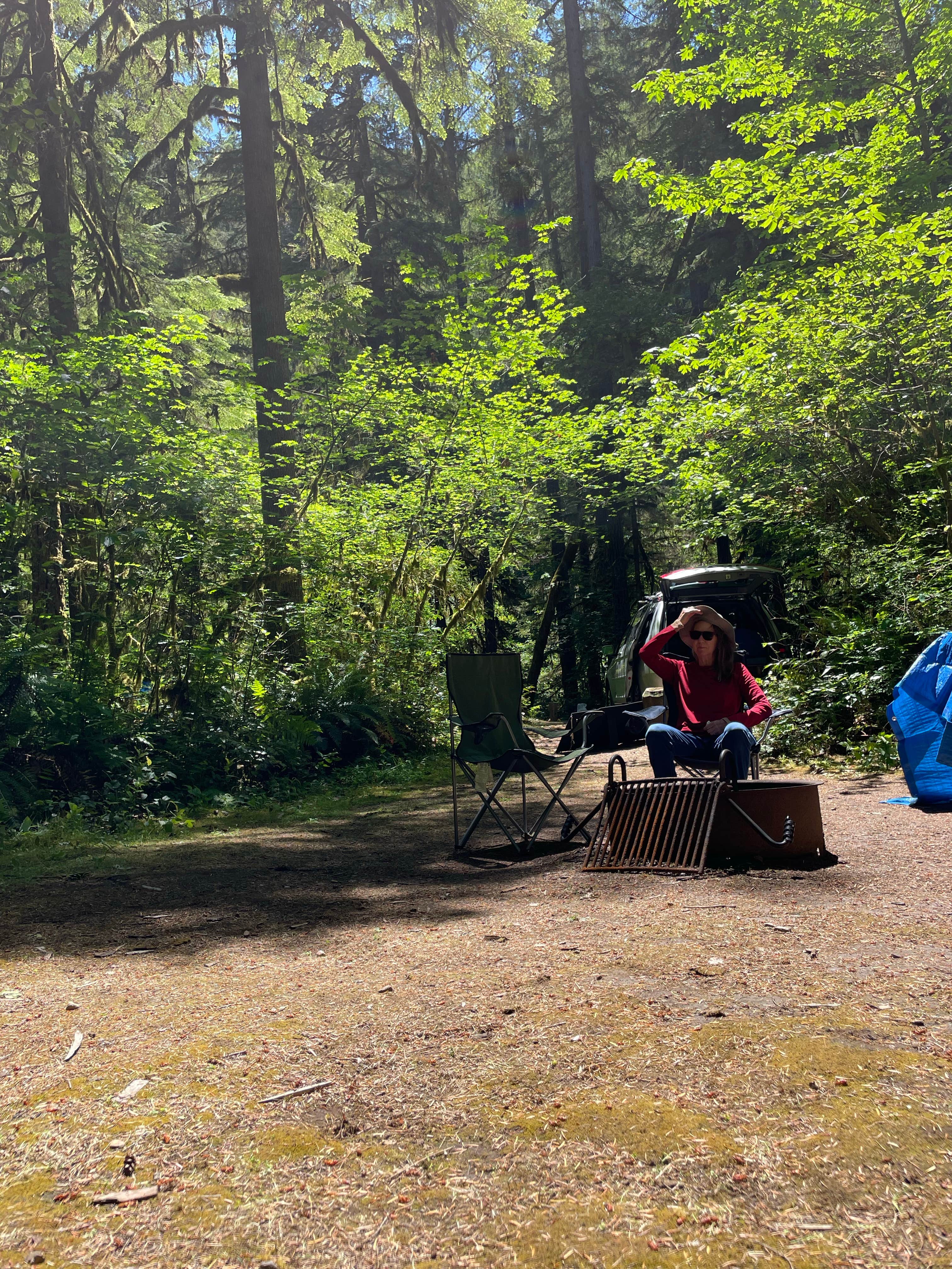 Robert N.'s photo at Trout Creek Campground near Sweet Home, OR