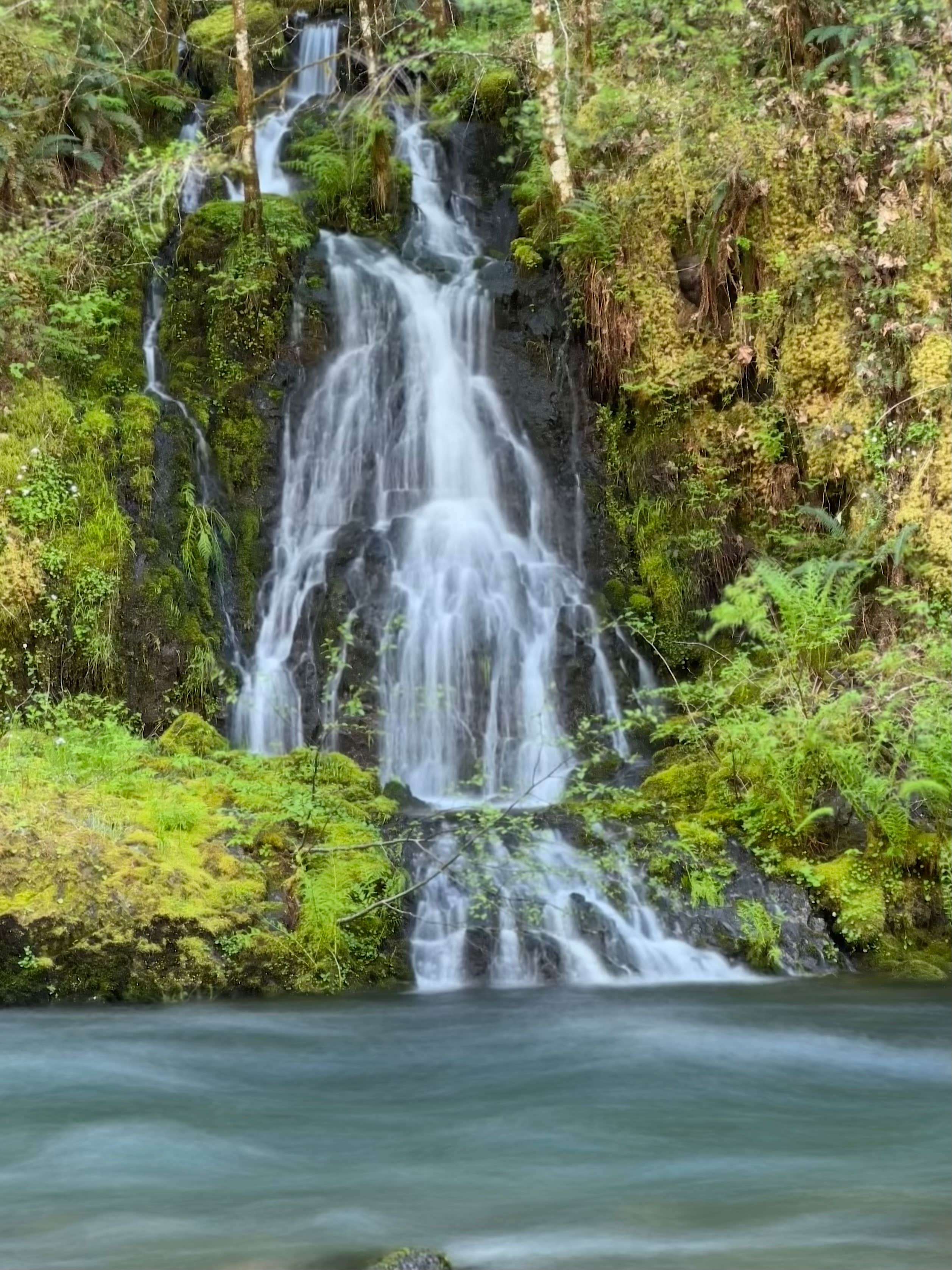 Camper-submitted photo at Trout Creek Campground near Cascadia, OR