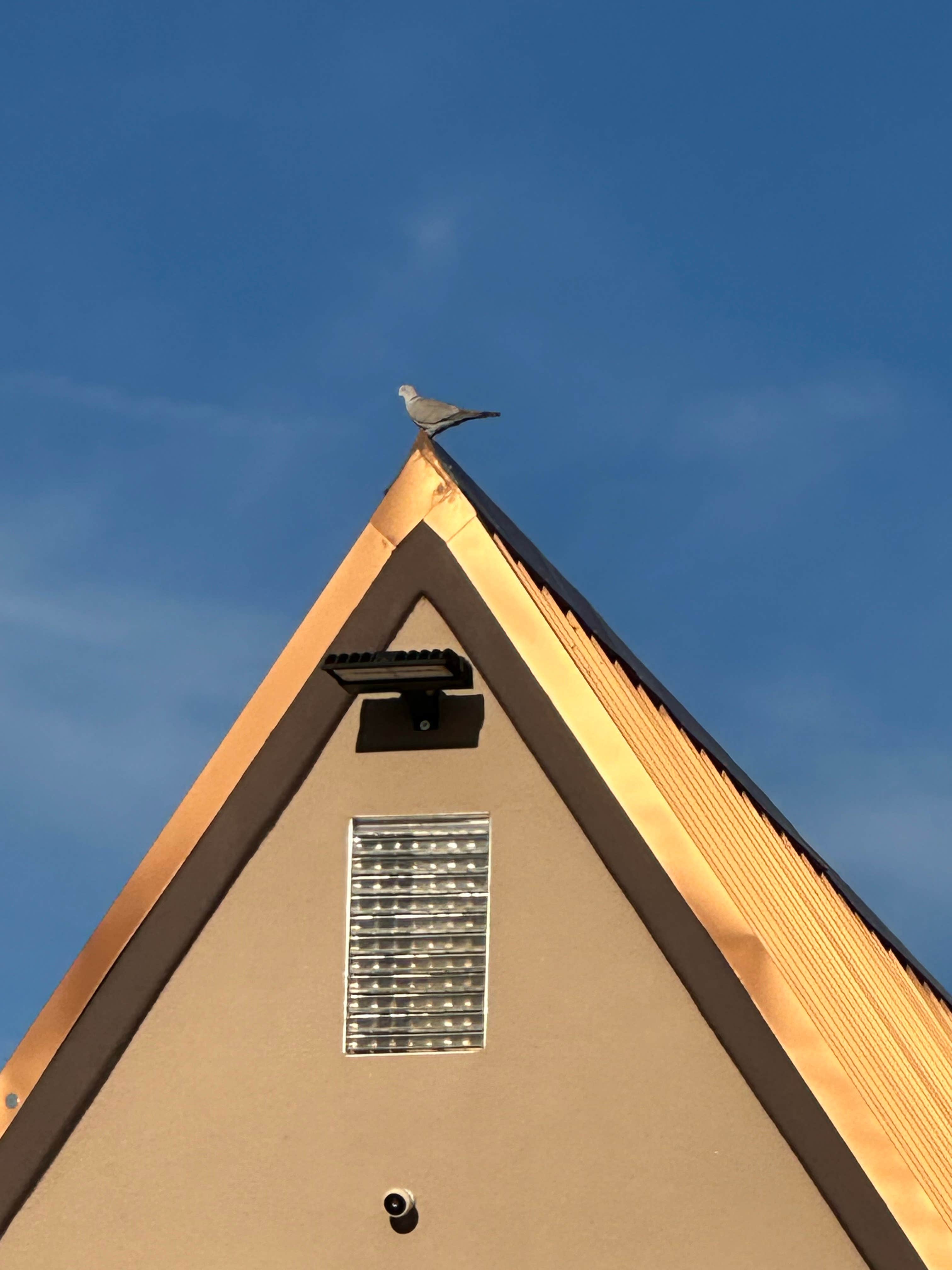 Camper-submitted photo at Willcox-Cochise KOA near Willcox, AZ