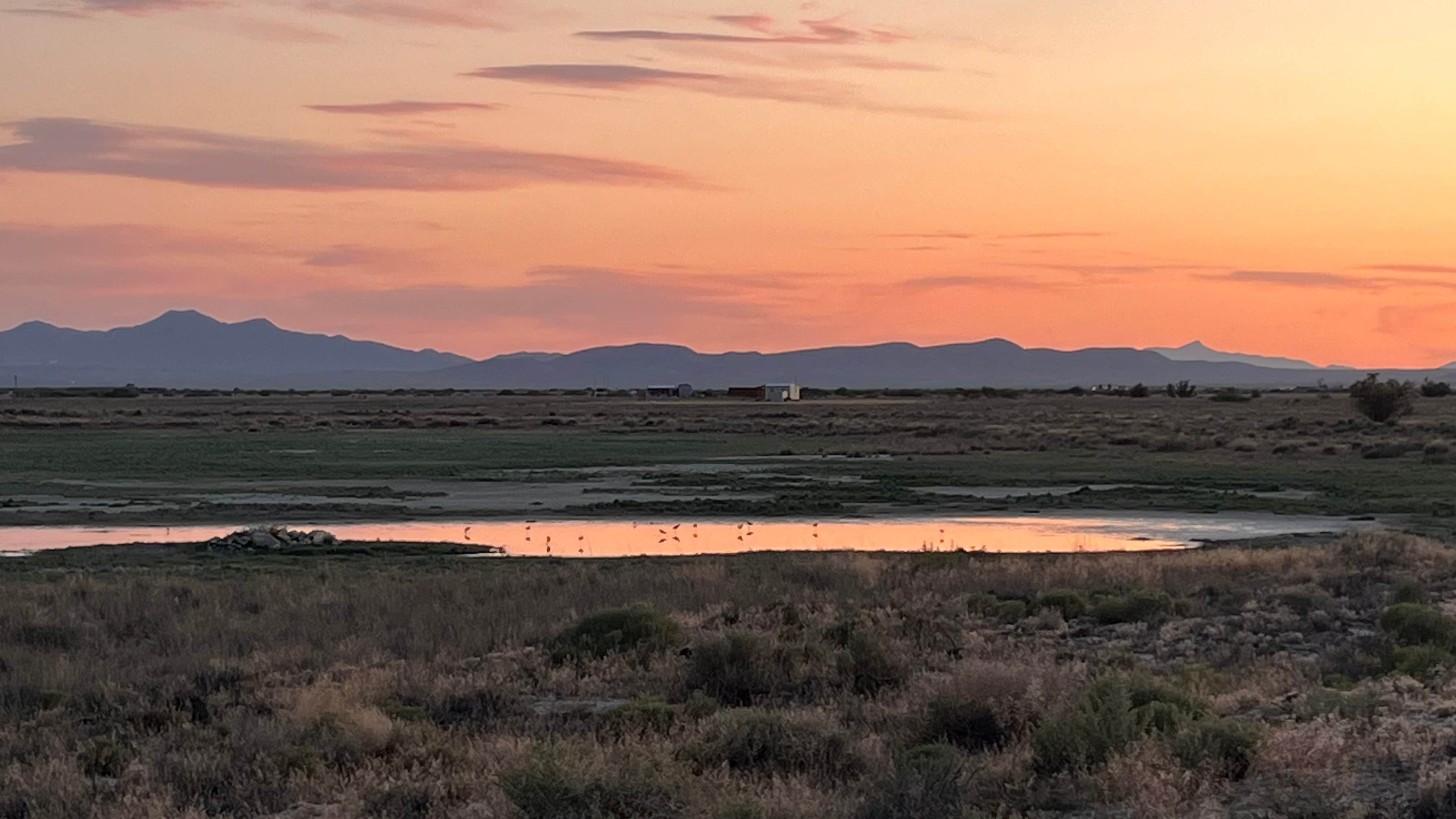 Camper-submitted photo at Willcox Lagoon Dispersed Site near Willcox, AZ