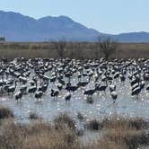 Review photo of Willcox Lagoon Dispersed Site by Pam J., March 7, 2026