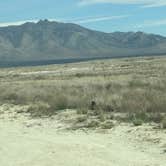 Review photo of Willcox Lagoon Dispersed Site by Pam J., March 7, 2026