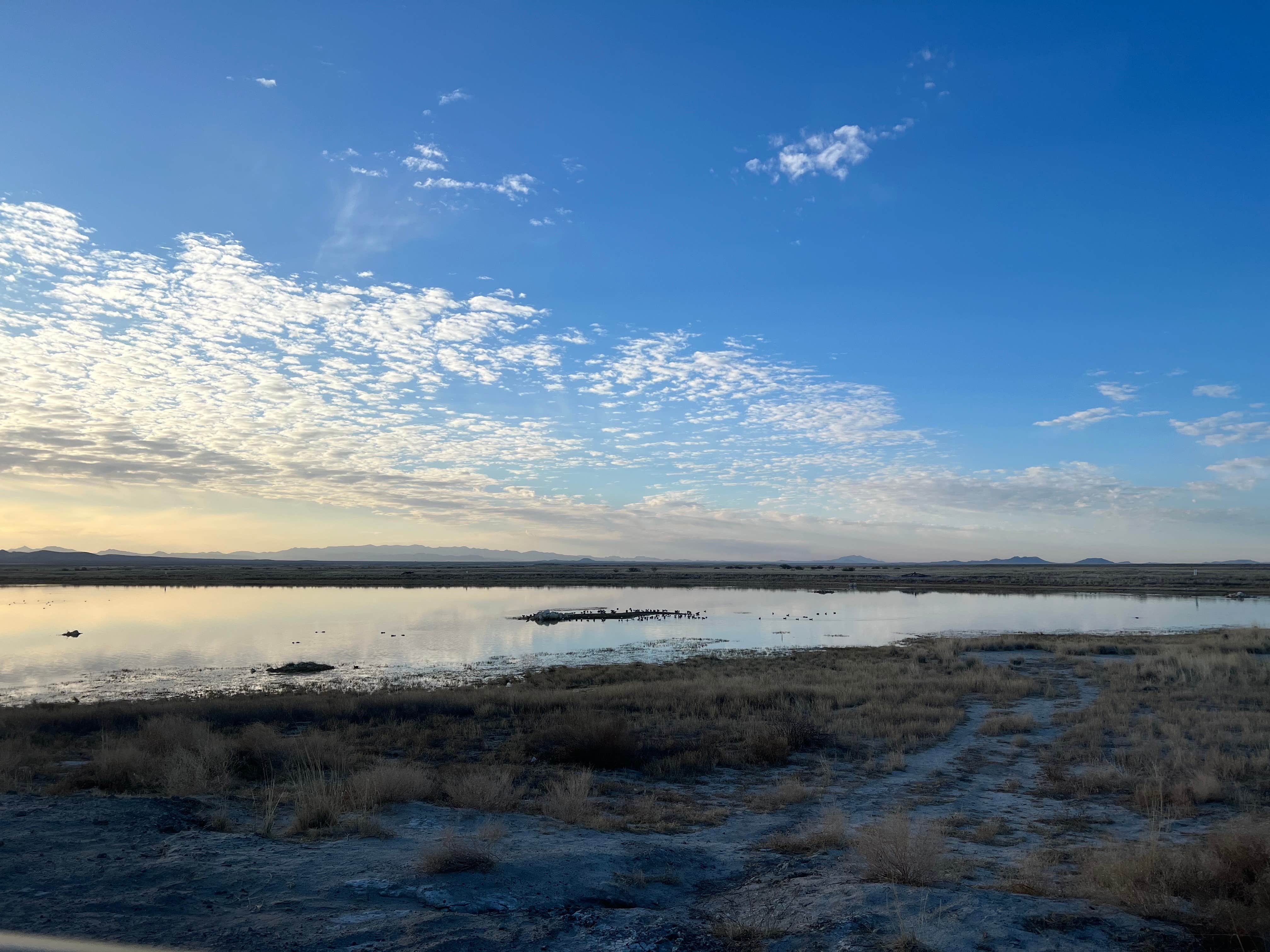 Camper-submitted photo at Willcox Lagoon Dispersed Site near Willcox, AZ