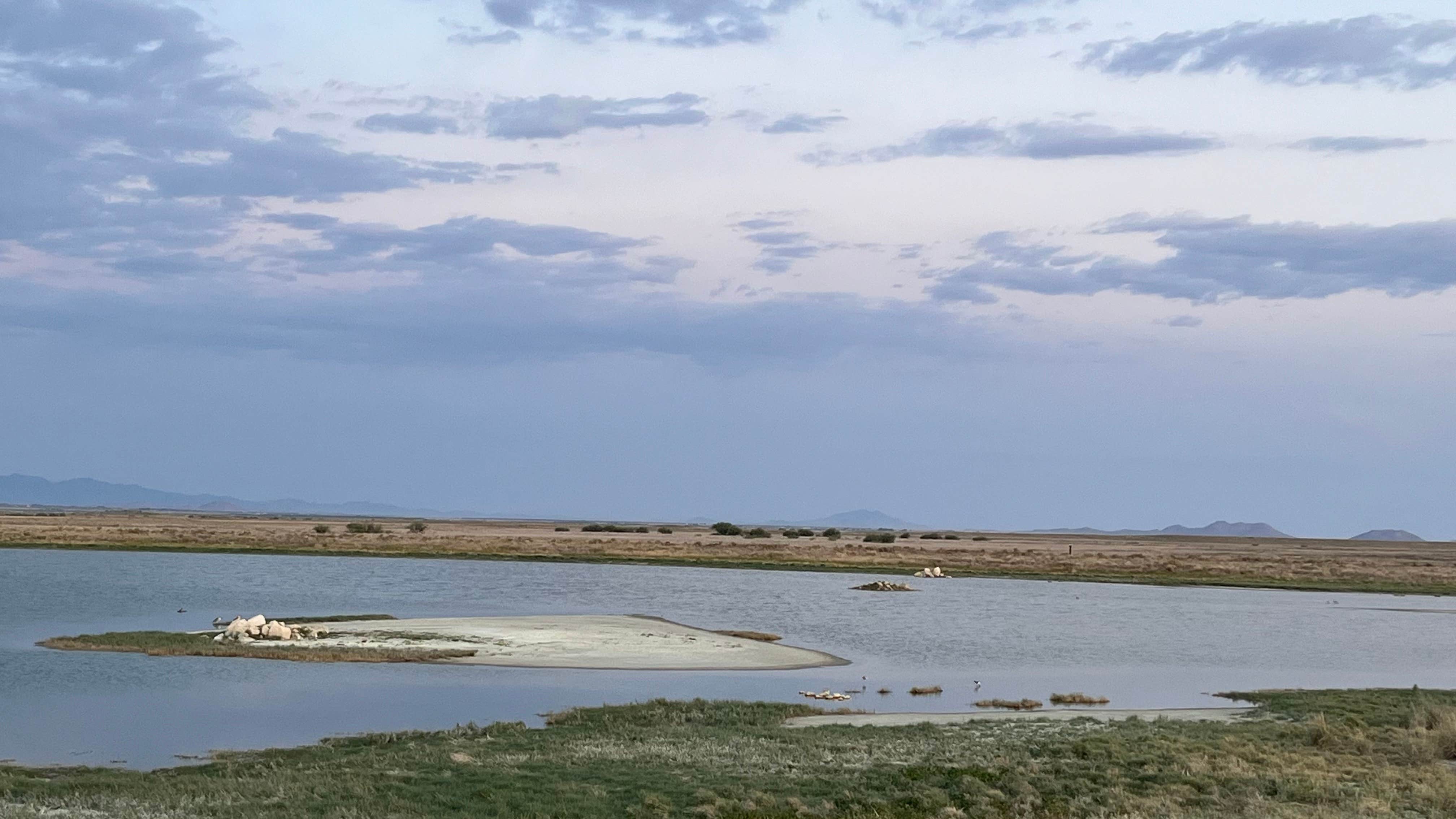 Camper-submitted photo at Willcox Lagoon Dispersed Site near Willcox, AZ