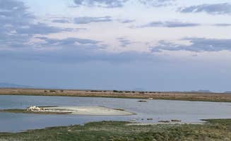 Lee A.'s photo of a dispersed camping area at Willcox Lagoon Dispersed Site near Cochise, AZ