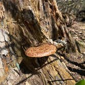 Review photo of William O'Brien State Park Campground by Karla J. B., May 4, 2025