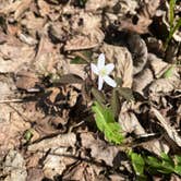 Review photo of William O'Brien State Park Campground by Karla J. B., May 4, 2025