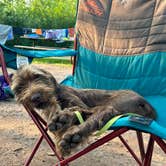 Review photo of William O'Brien State Park Campground by Tim , July 31, 2024