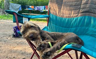 Tim's photo of camping with pets at William O'Brien State Park Campground near Golden Valley, MN