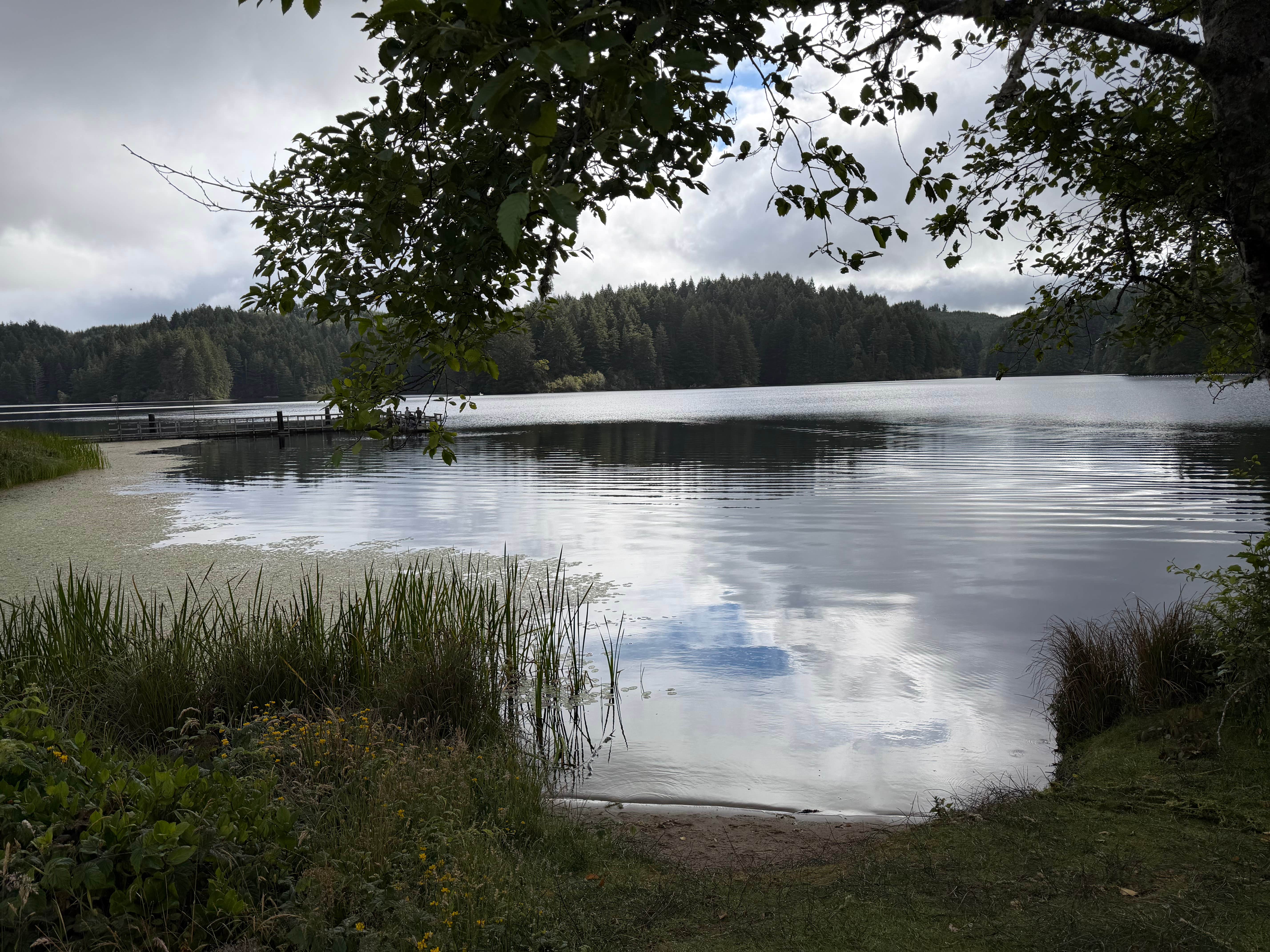 Camping near Spinreel: William Tugman State Park, Lakeside, Oregon