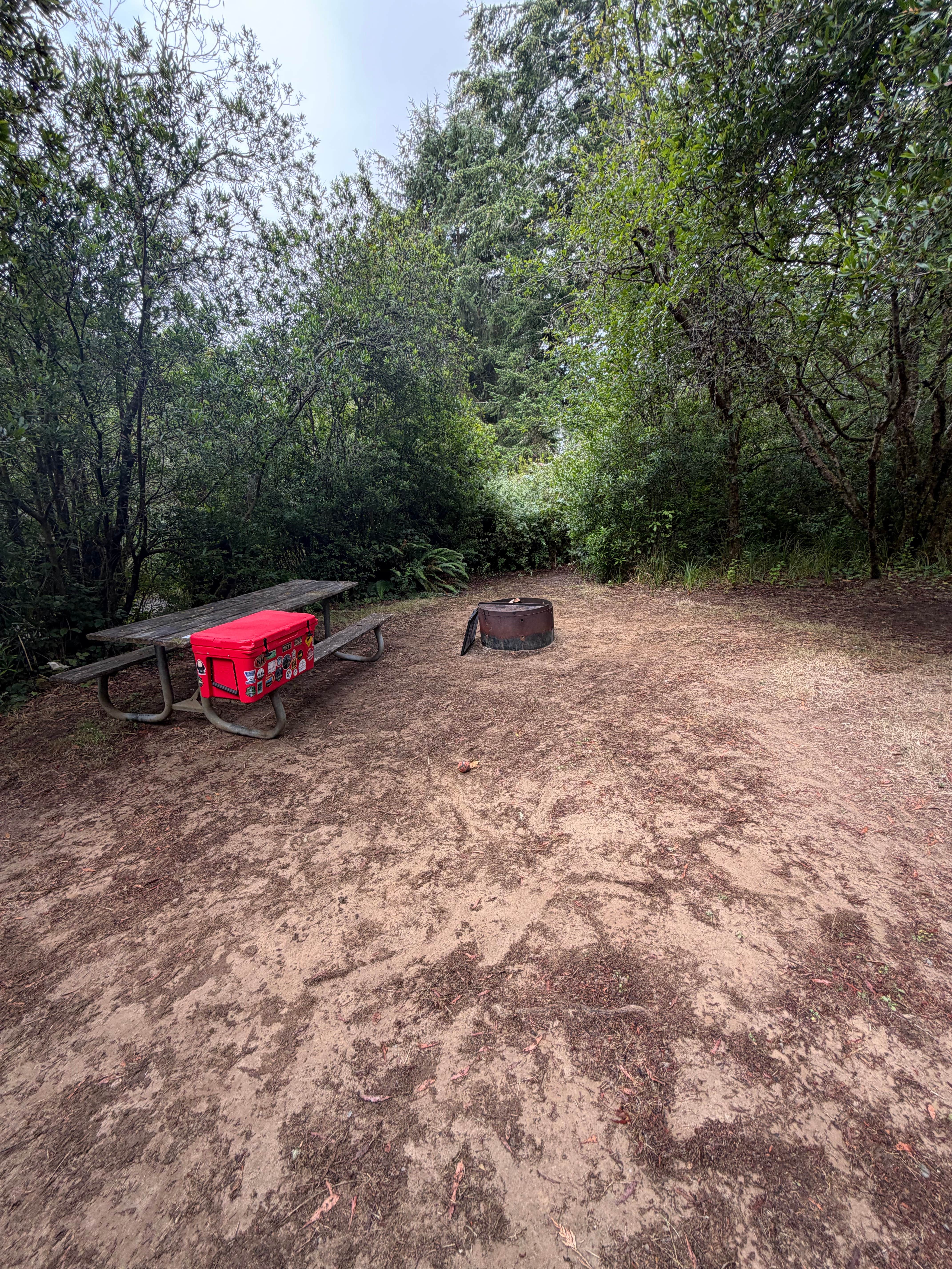 Camper-submitted photo at William Tugman State Park near Siuslaw National Forest