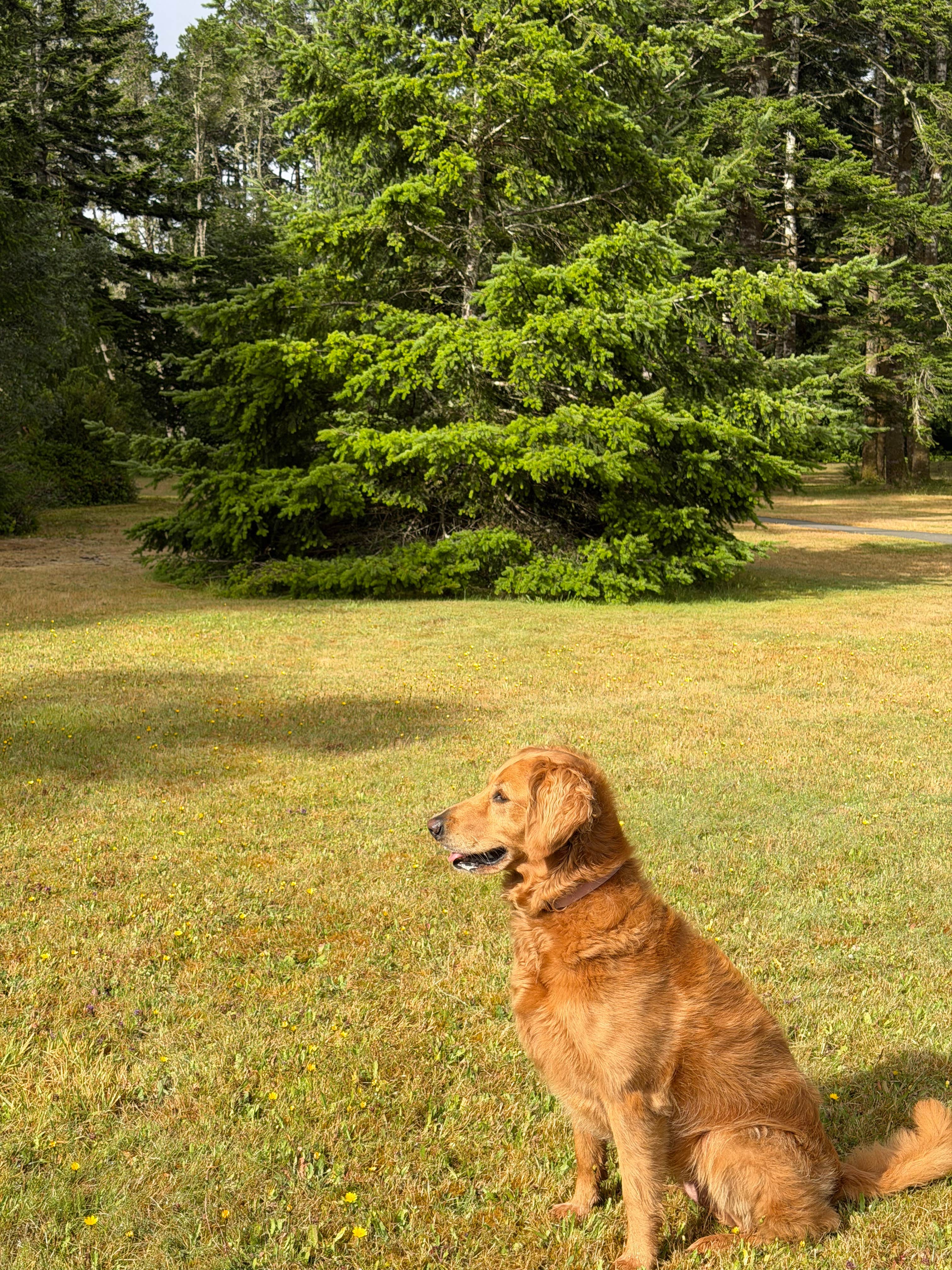 Camper-submitted photo at William Tugman State Park near Siuslaw National Forest