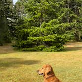 Review photo of William Tugman State Park by Vanessa C., July 11, 2026