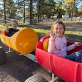 Review photo of Williams-Circle Pines KOA by Kathie , September 21, 2026