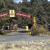 Review photo of Williams-Circle Pines KOA by Stacia M., October 15, 2025