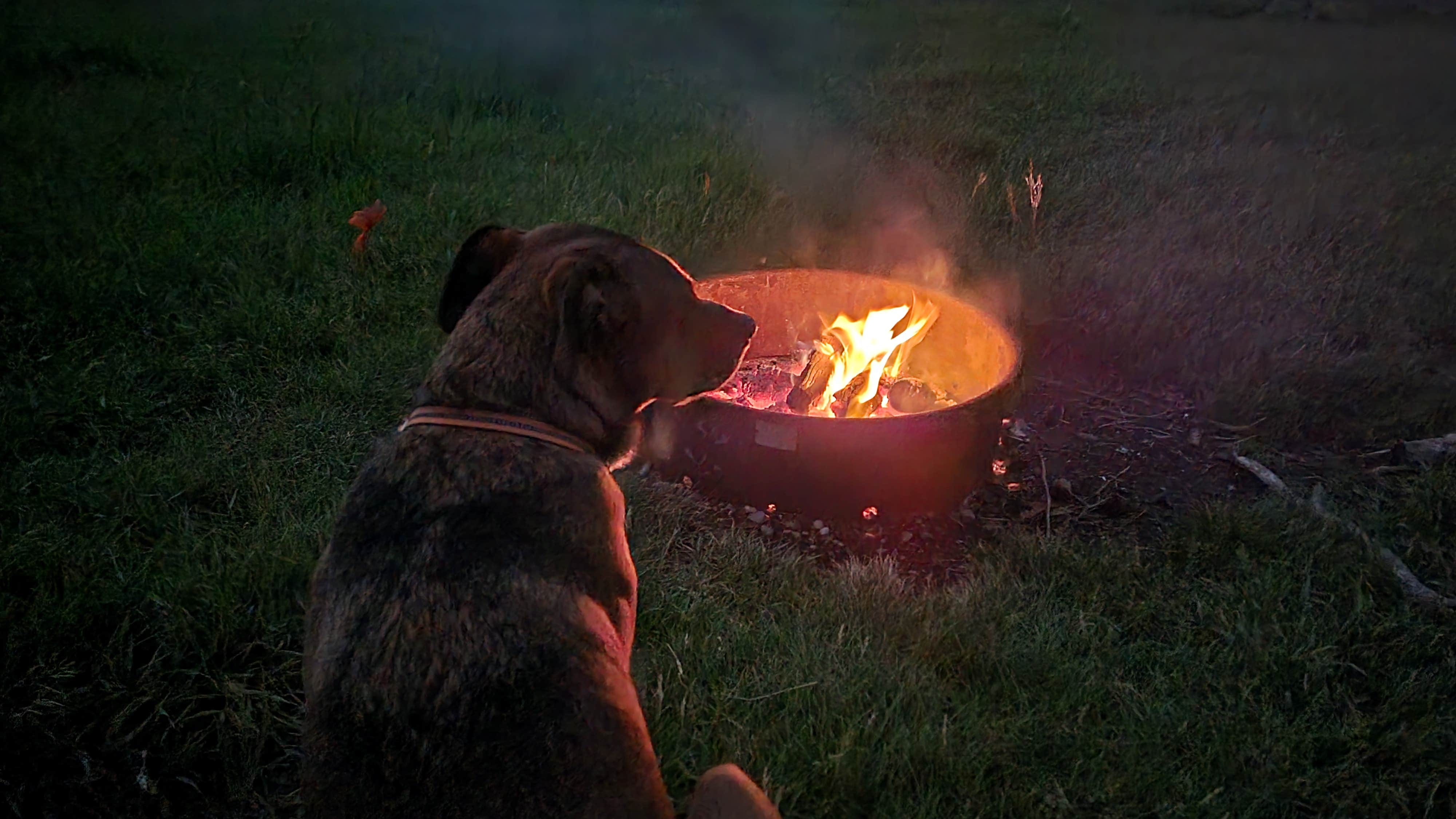 Camper submitted image from Williams Fork Reservoir Campground - 1