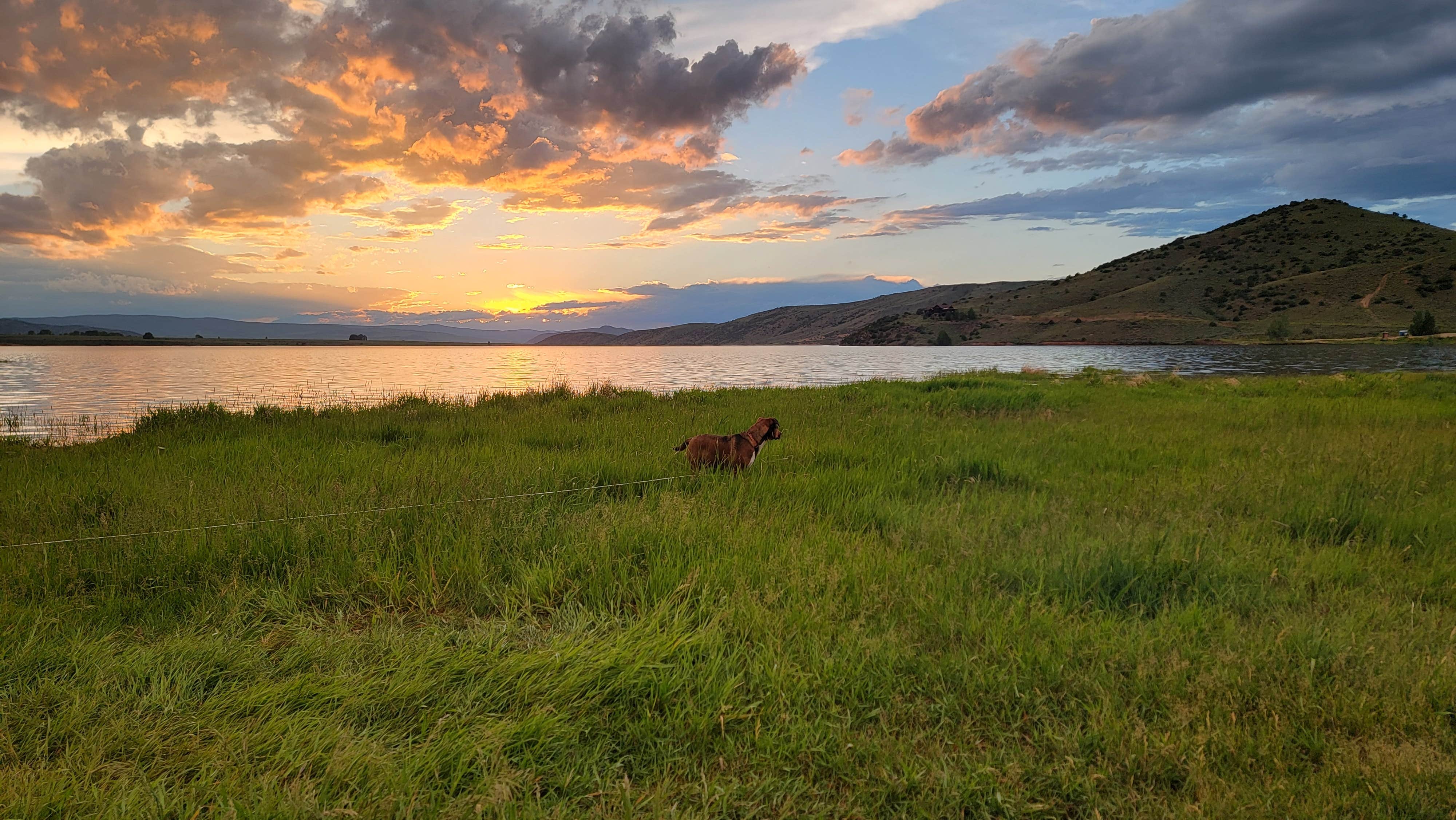 Camper submitted image from Williams Fork Reservoir Campground - 5