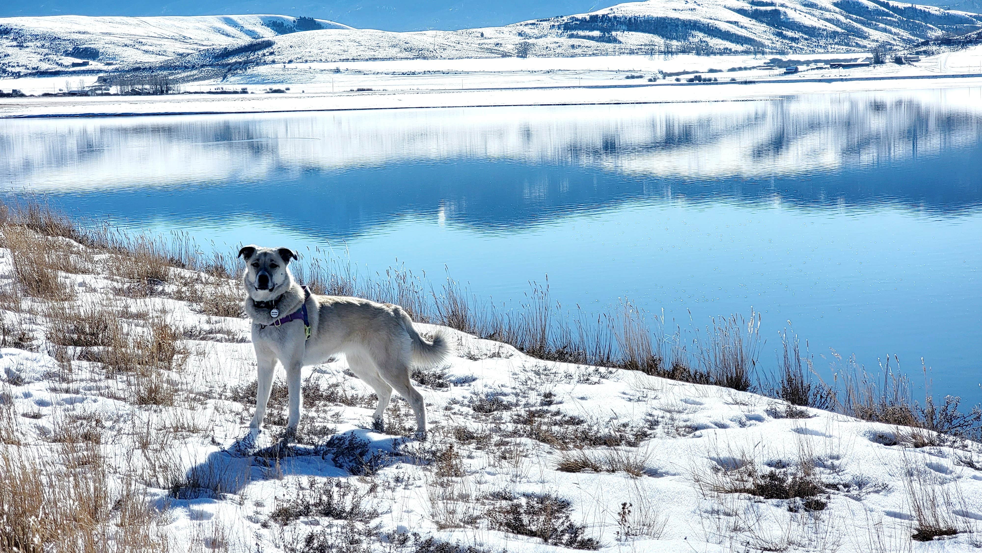 Renee T.'s photo of a dispersed camping area at Williams Fork near Heeney, CO