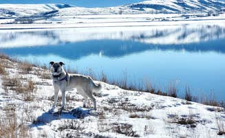 Renee T.'s photo of a dispersed camping area at Williams Fork near Heeney, CO