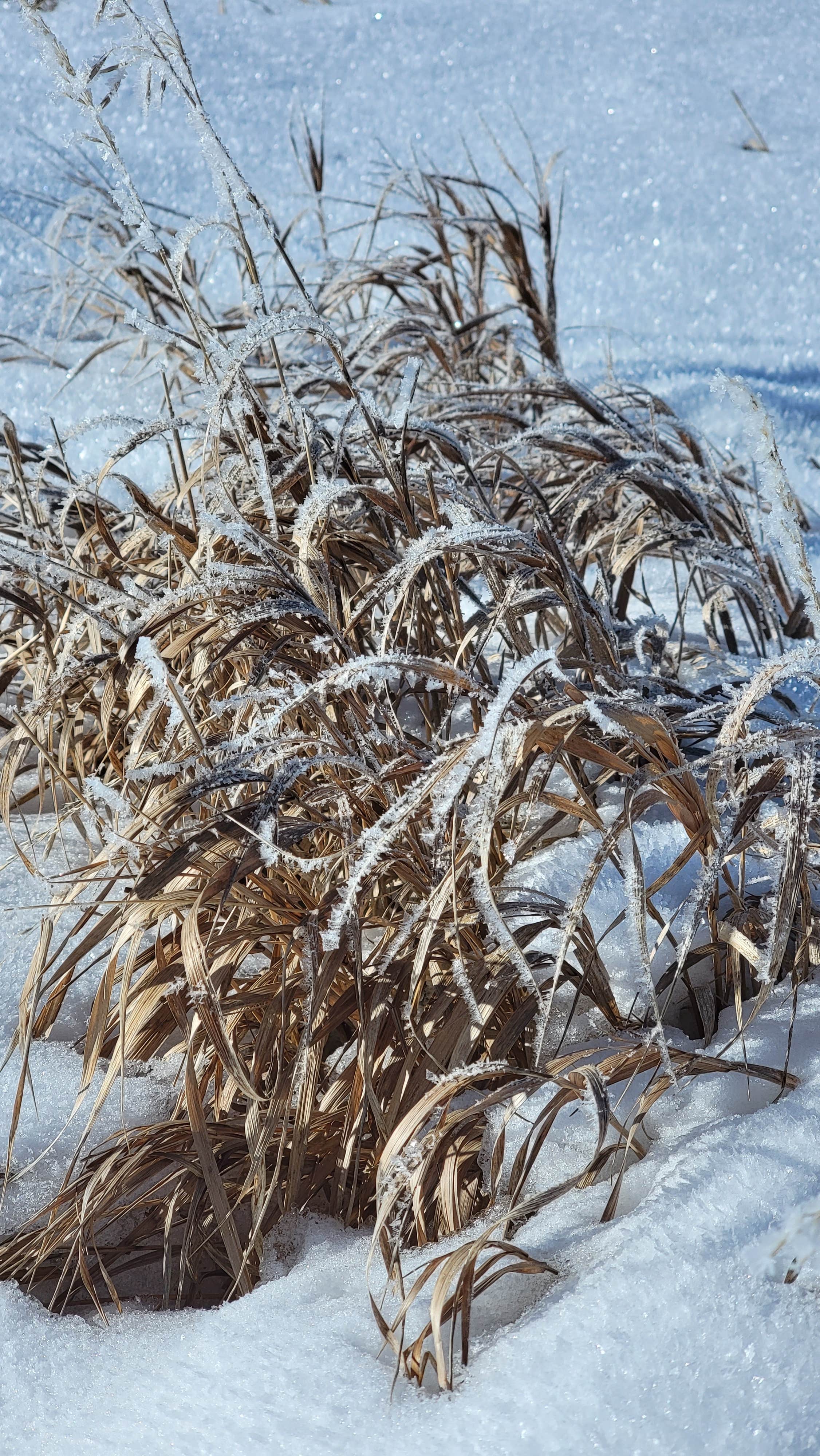 Camper-submitted photo at Williams Fork near Heeney, CO