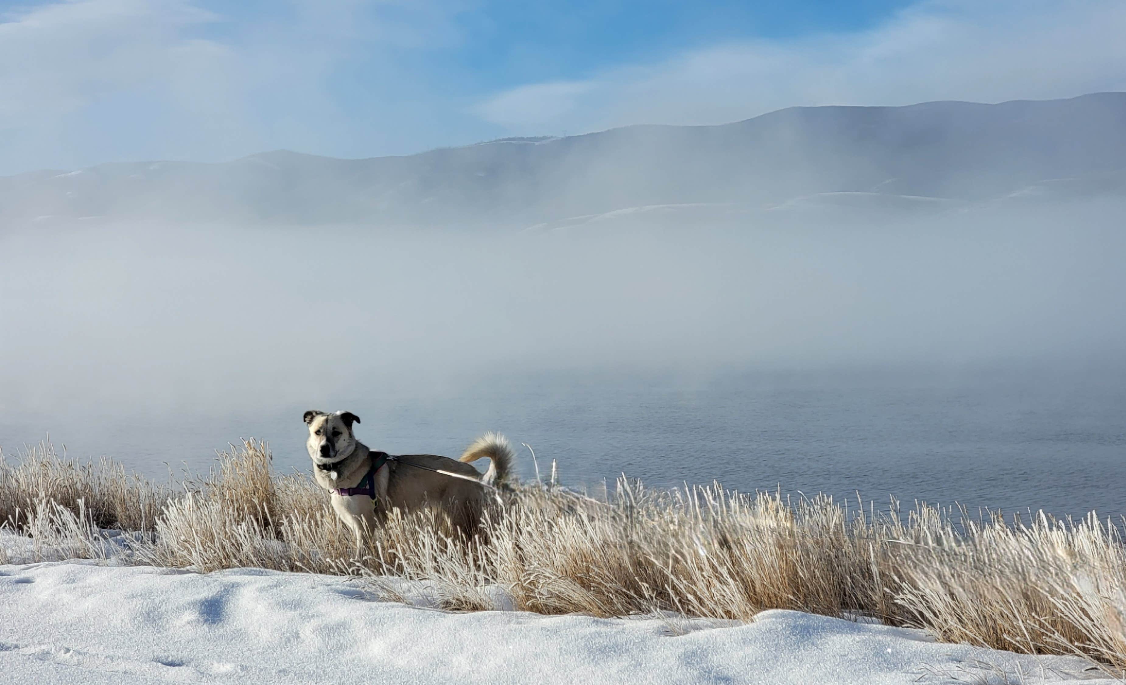 Camper-submitted photo at Williams Fork near Heeney, CO