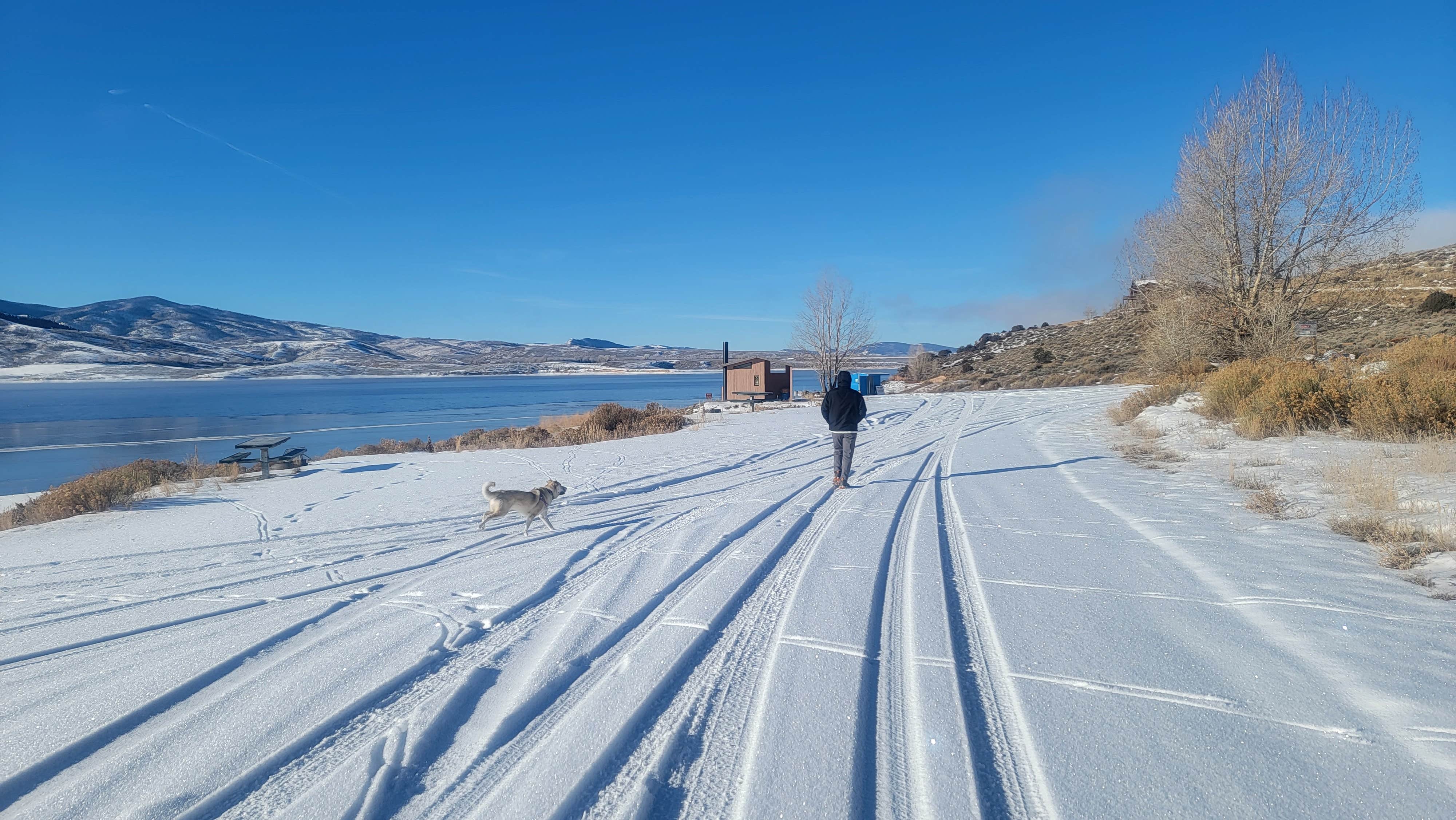 Renee T.'s photo of camping with pets at Williams Fork near Silverthorne, CO