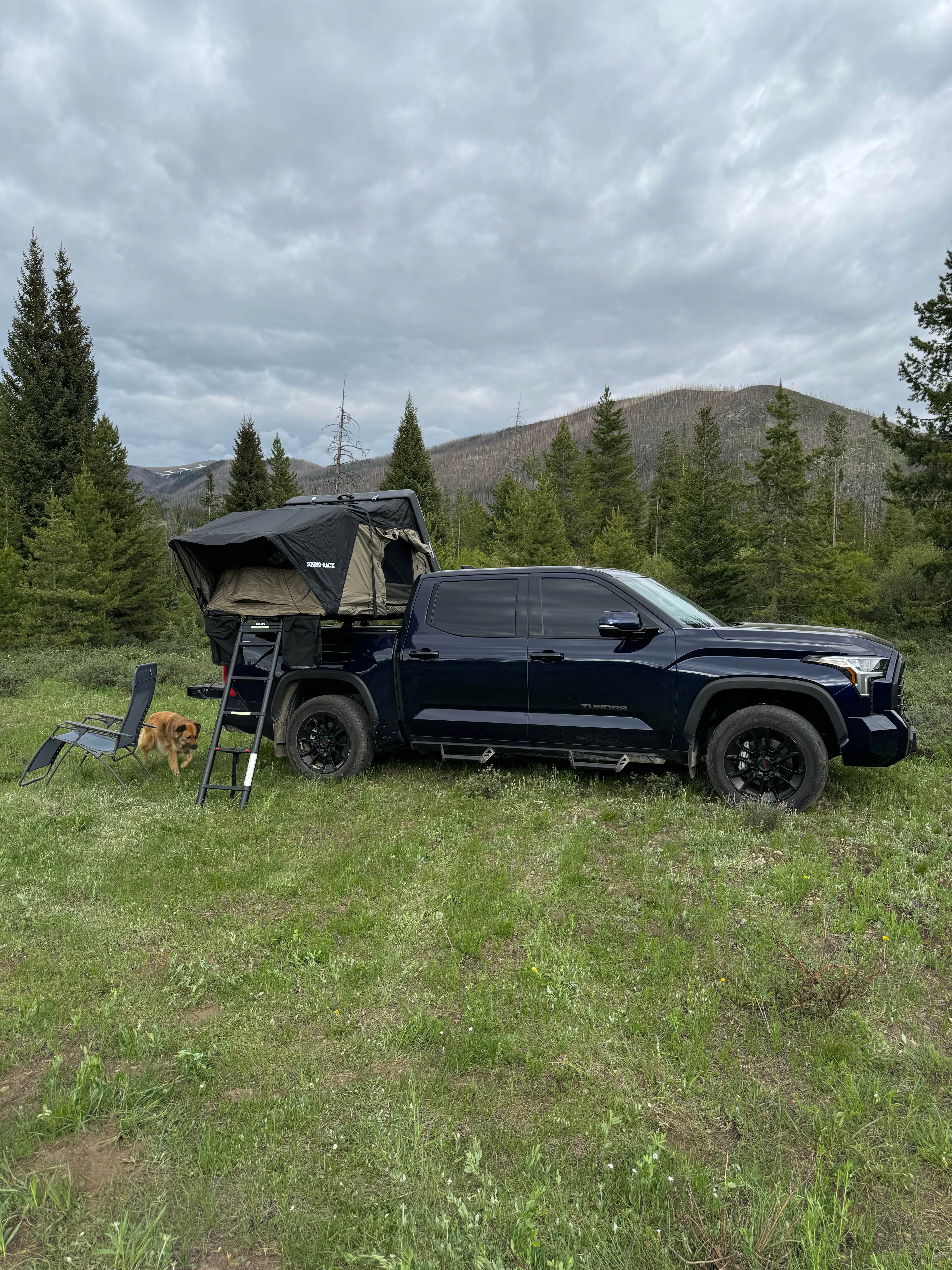 michael H.'s photo of camping with pets at Williams Fork near Silverthorne, CO