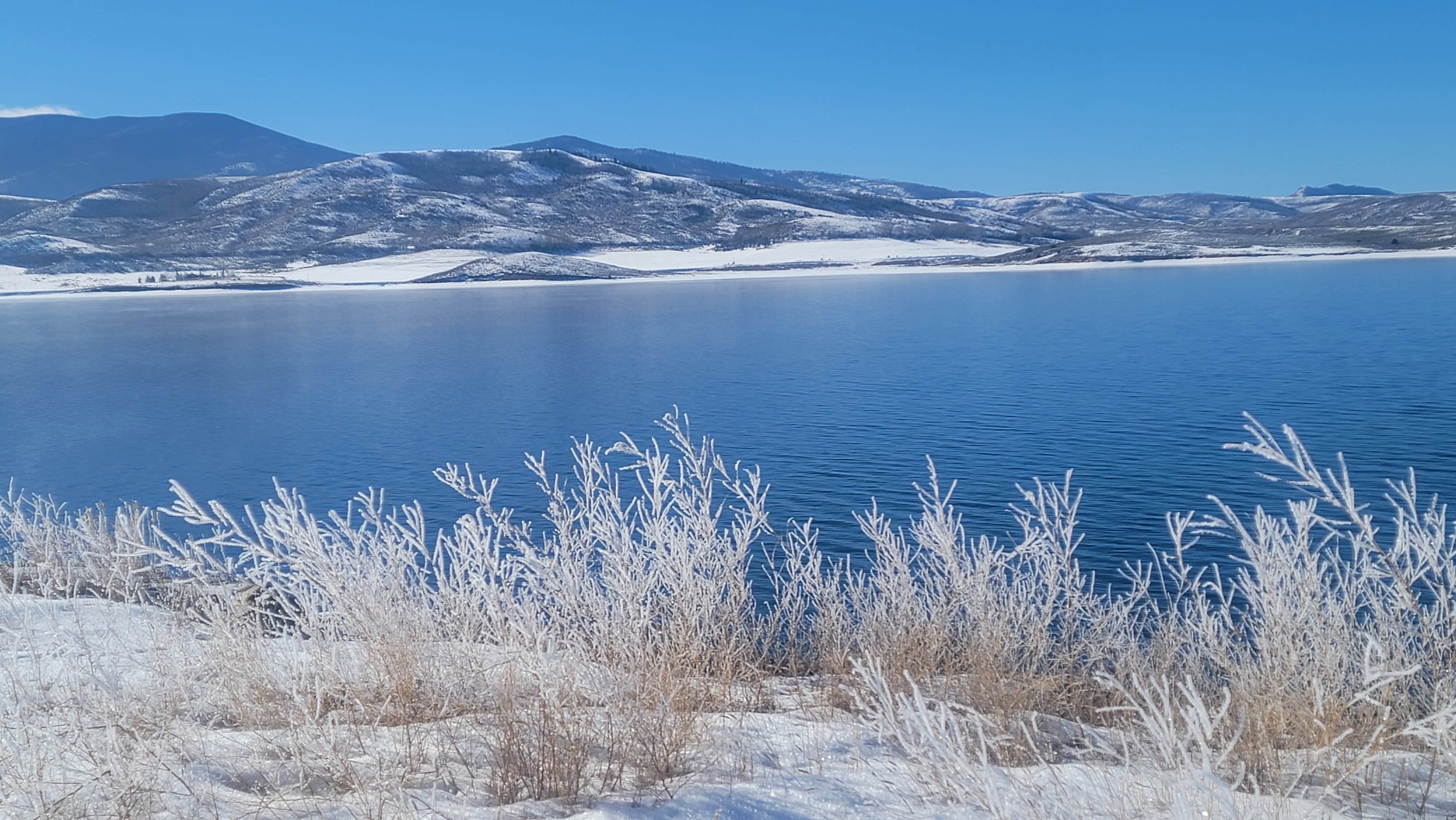 Renee T.'s photo of a dispersed camping area at Williams Fork near Silverthorne, CO